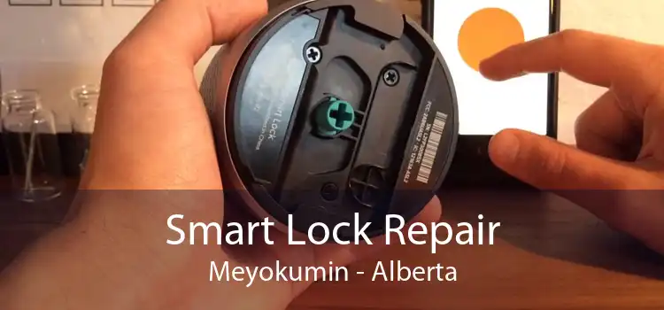 Smart Lock Repair Meyokumin - Alberta