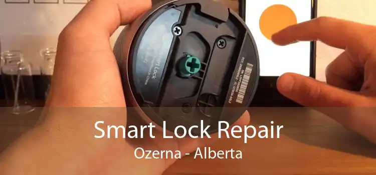 Smart Lock Repair Ozerna - Alberta
