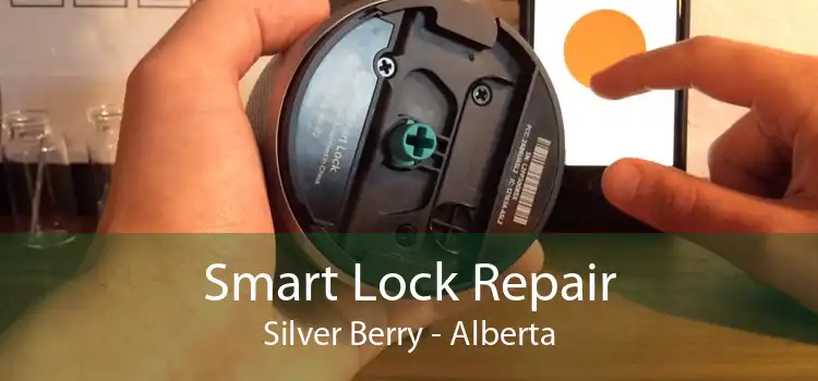 Smart Lock Repair Silver Berry - Alberta
