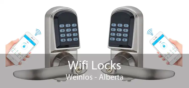 Wifi Locks Weinlos - Alberta