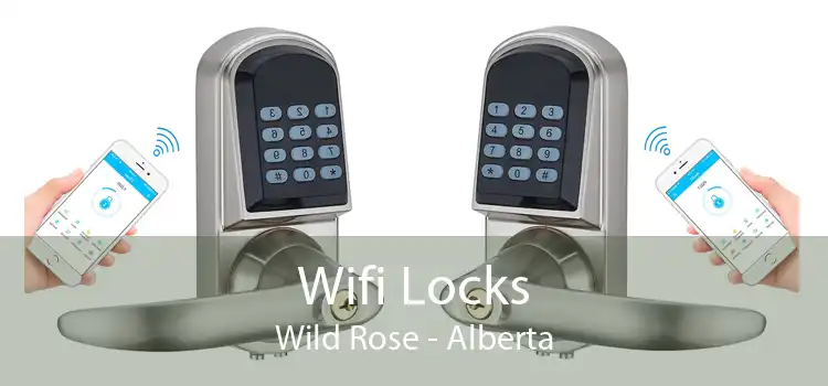 Wifi Locks Wild Rose - Alberta